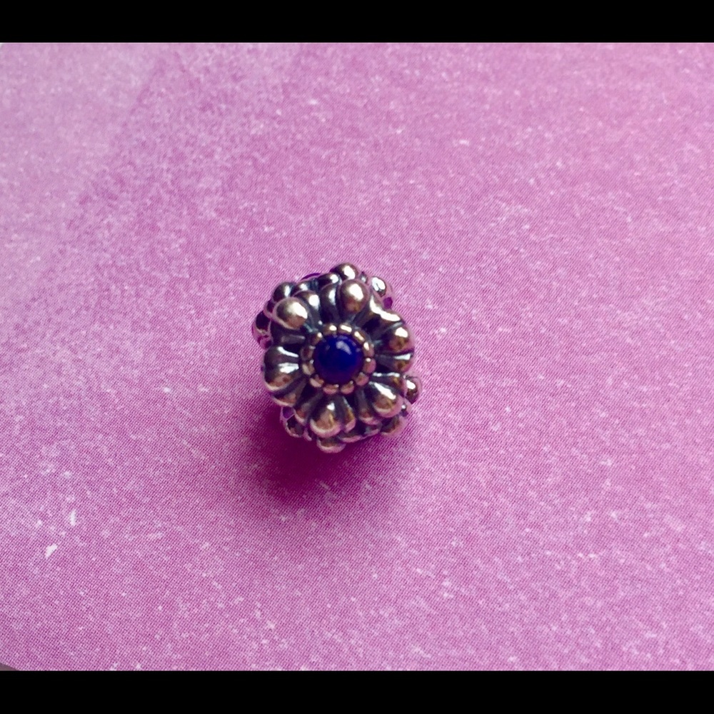 Authentic Pandora Charm